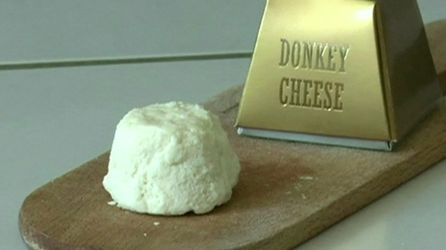 World   s Most Expensive Cheese Costs $1,000 a Pound, Is Made from Donkey Milk