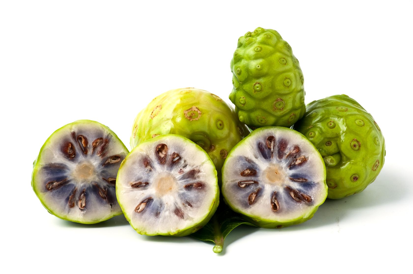 7 benefits about Noni plant ¡Incredible!
