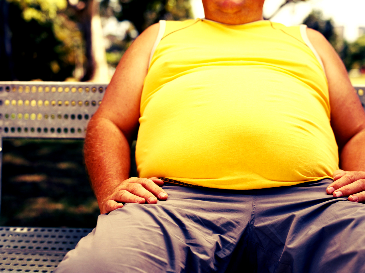 The most popular theory about what causes obesity may be very wrong