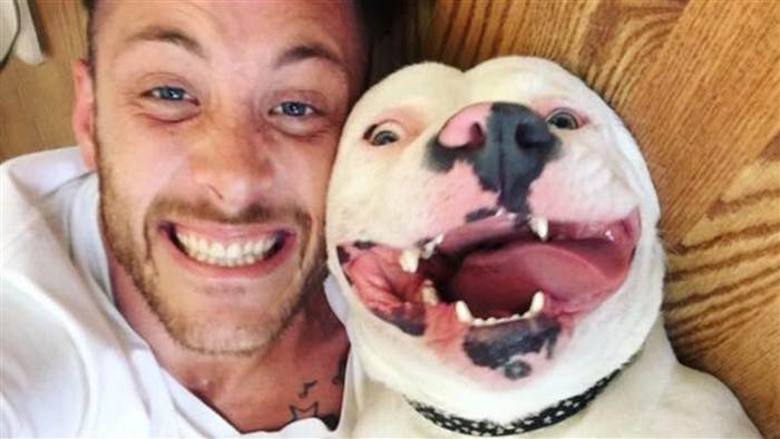 'Smiling' dog allowed back home despite town's pit bull ban