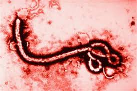 Enfermedad por el virus del Ebola