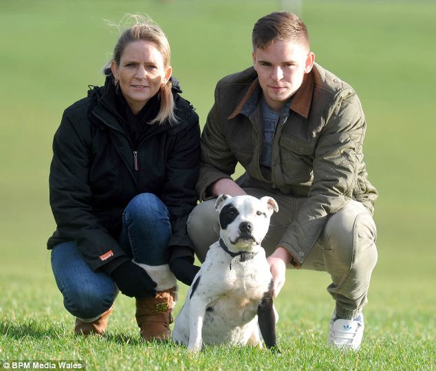 Missing For 2 Years, This Family Has Back The Dog They Always Knew They   d See Again