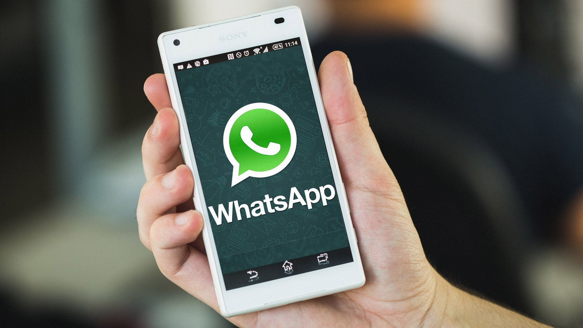 WhatsApp tiene nueva actualización con muchas novedades