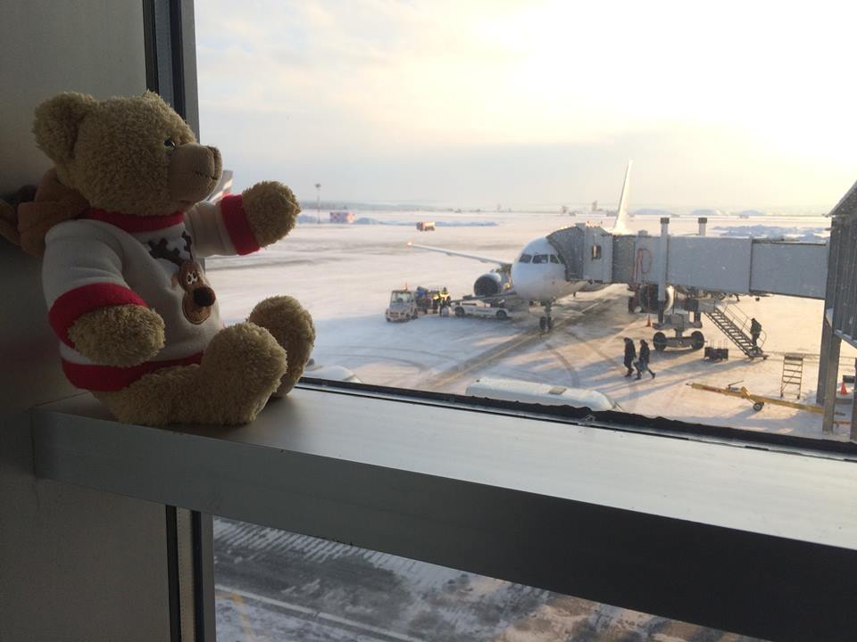 Look what this airport did with a teddy bear forgotten by a girl
