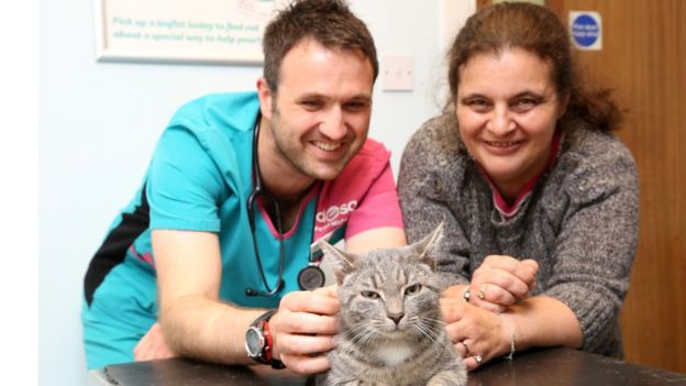 Meet the kitten that survives a washing machine cycle on 60 C