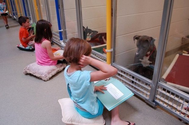 Something Truly Beautiful Is Happening At This Animal Shelter