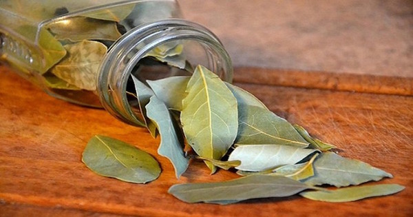 If you burn a bay leaf in your home your body will thank you later