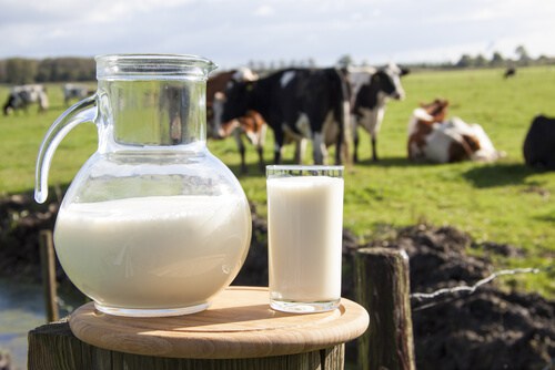 Científico de Harvard suplica que paremos el consumo de leche