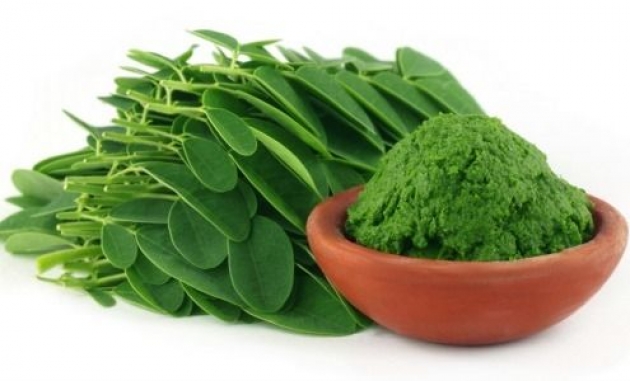 Moringa, the herb that kills cancer and stops diabetes