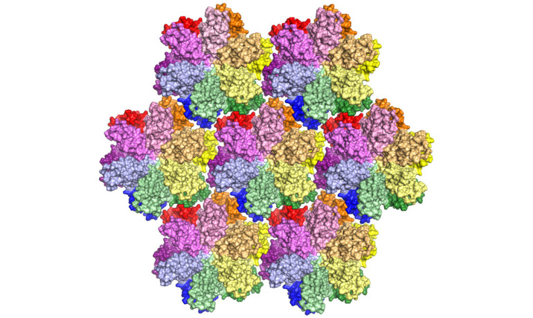 Team surprised to find water in this hiv protein