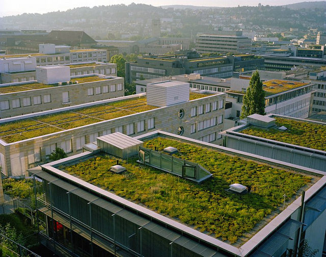 En Francia una nueva ley obliga a construir edificios con tejados verdes