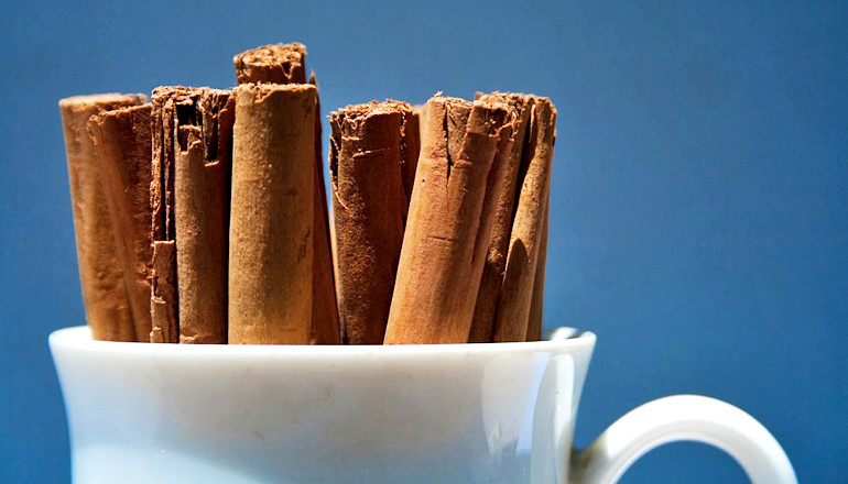 Can cinnamon compoud prevent Cancer?