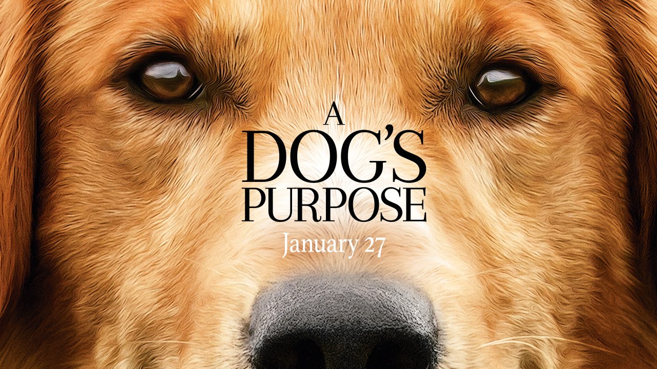 the most expected and emotional trailer: A Dog's Purpose (VIDEO)