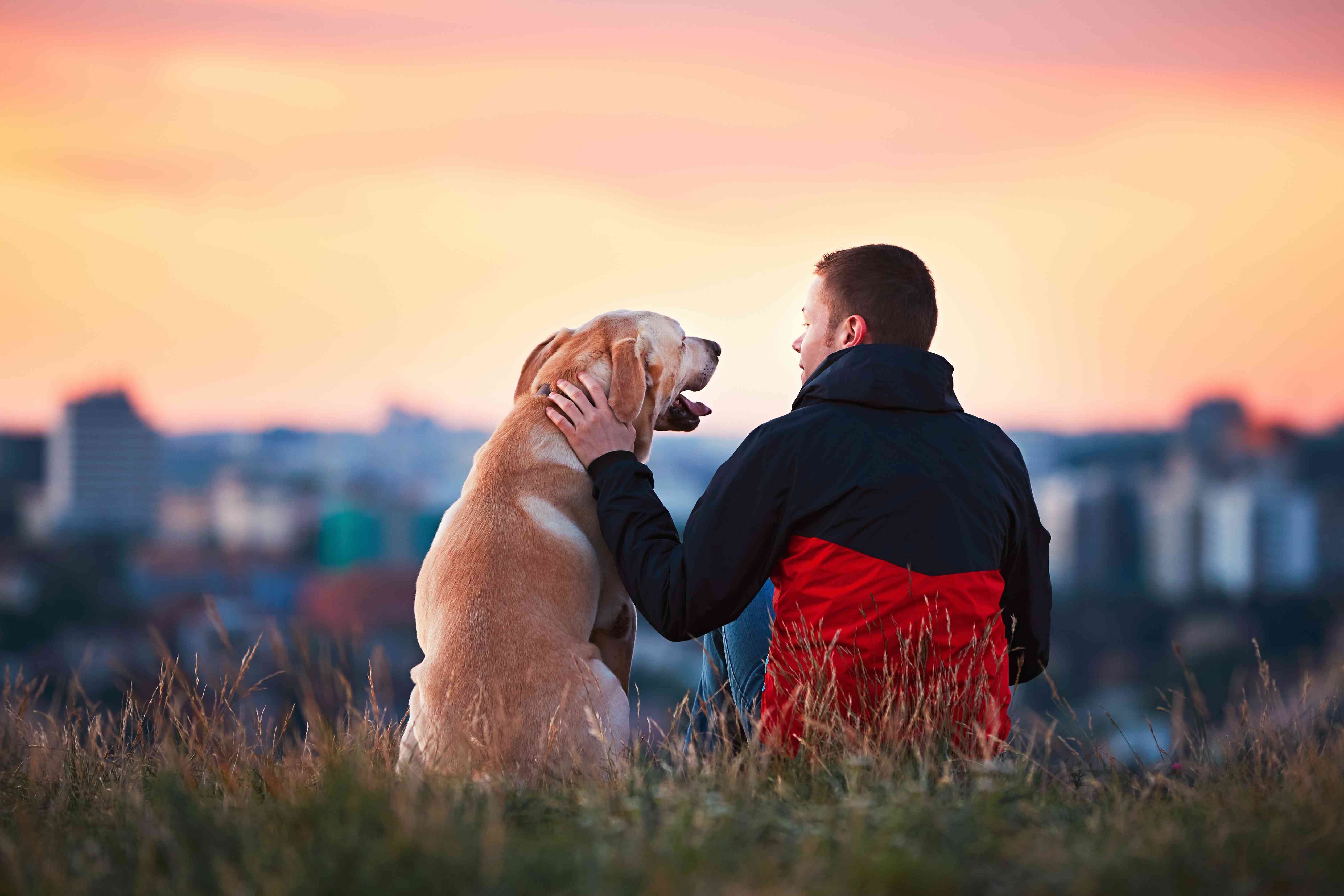 Do you know the incredible benefits of having a dog for your physical and emotional health?