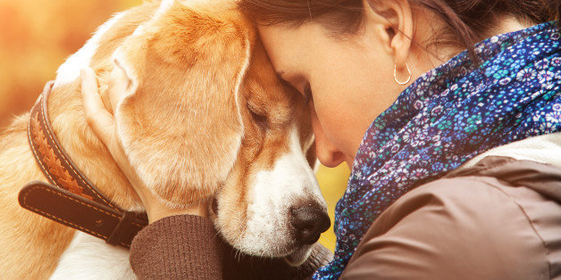 How being a pet parent can help you beat depression