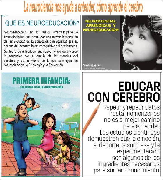 En qué consiste la neuroeducación? y cómo influye en la educación de la niñez