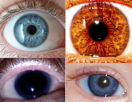 Los colores de ojos más raros en seres humanos