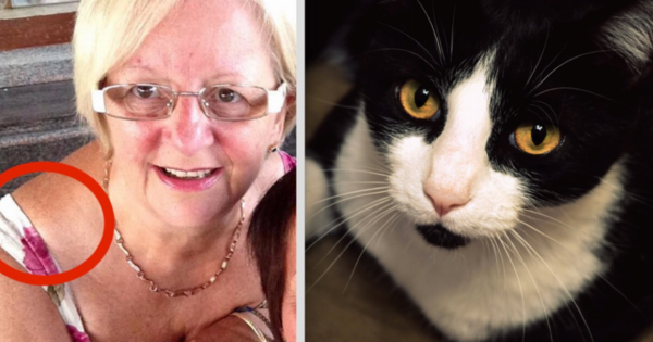 Her cat discovers that something is wrong with her health and try to warn hers