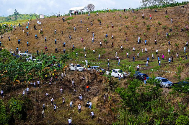 Récord Mundial. En Filipinas plantan 3.2 millones de árboles en una hora