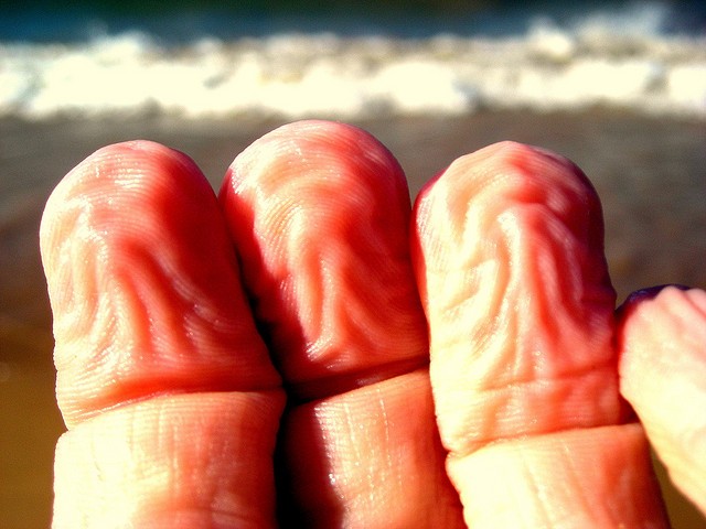 Descubrieron para qué son útiles los dedos arrugados en el agua
