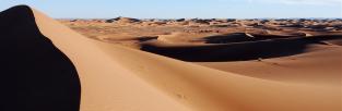 http://www.holiday-morocco-tours.com/camel-trekking/