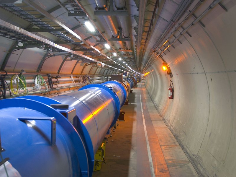 Weasel Apparently Shuts Down World's Most Powerful Particle Collider