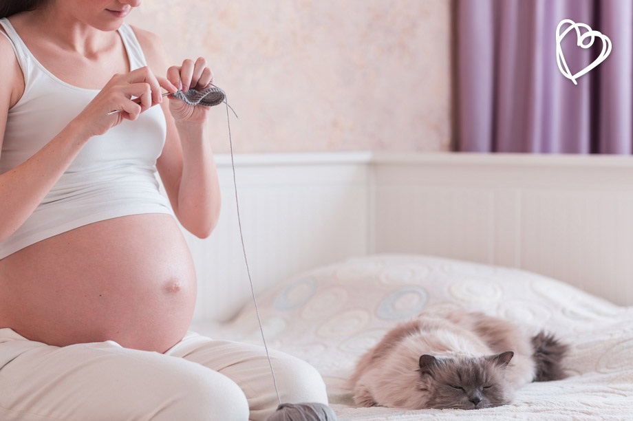 Mujeres embarazadas conviviendo con gatos: ¿qué pasa con la toxoplasmosis?