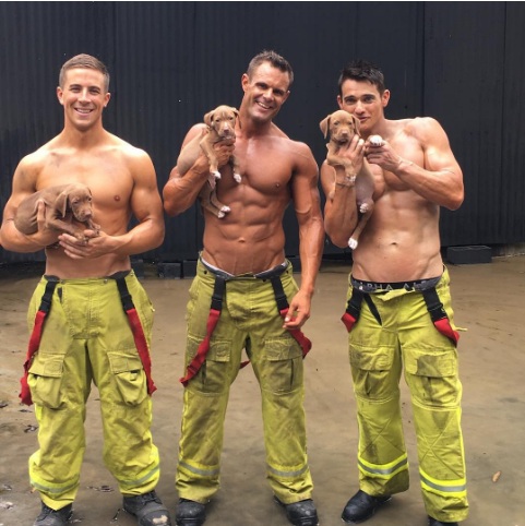 Firefighters and puppies make for the cutest charity calendar ever