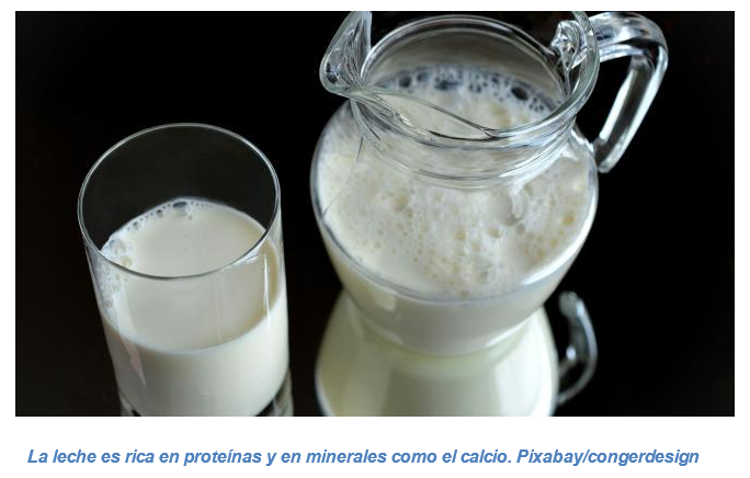  Día Mundial de la Leche 2021: Importantes beneficios de este lácteo para nuestra salud