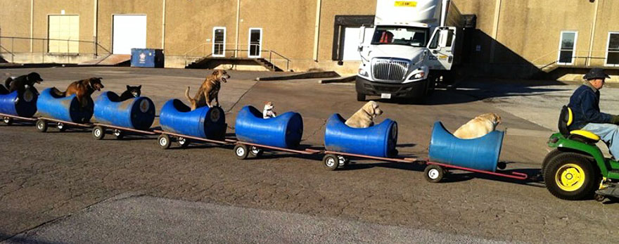 Un hombre fabrica un tren para llevar a sus perros adoptados