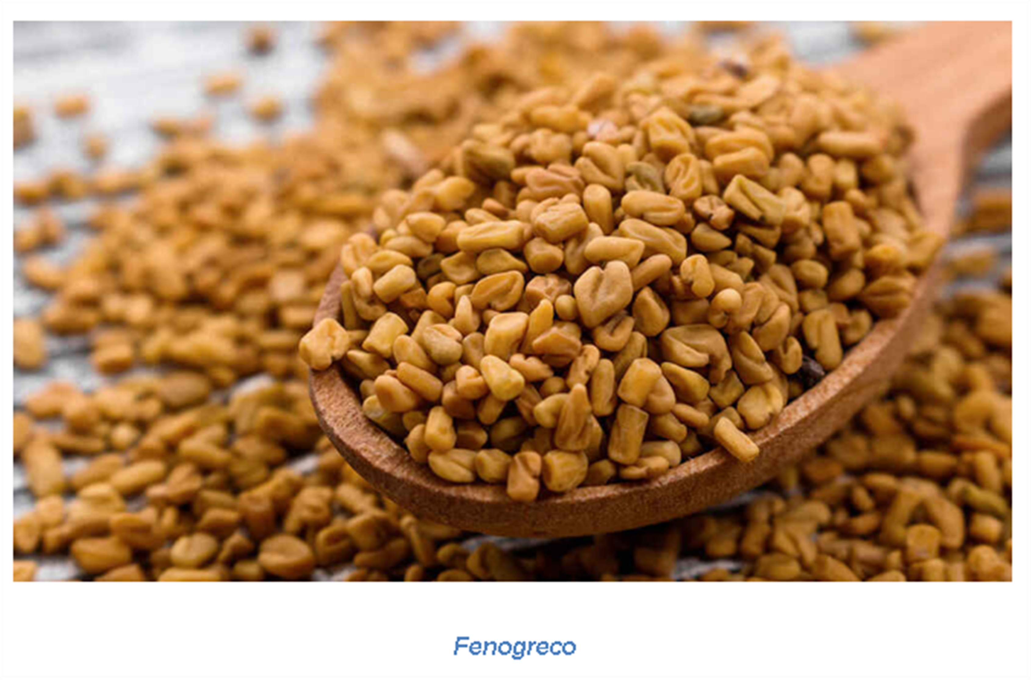  Fenogreco: los beneficios para el estómago de la semilla que desbanca al omeprazol