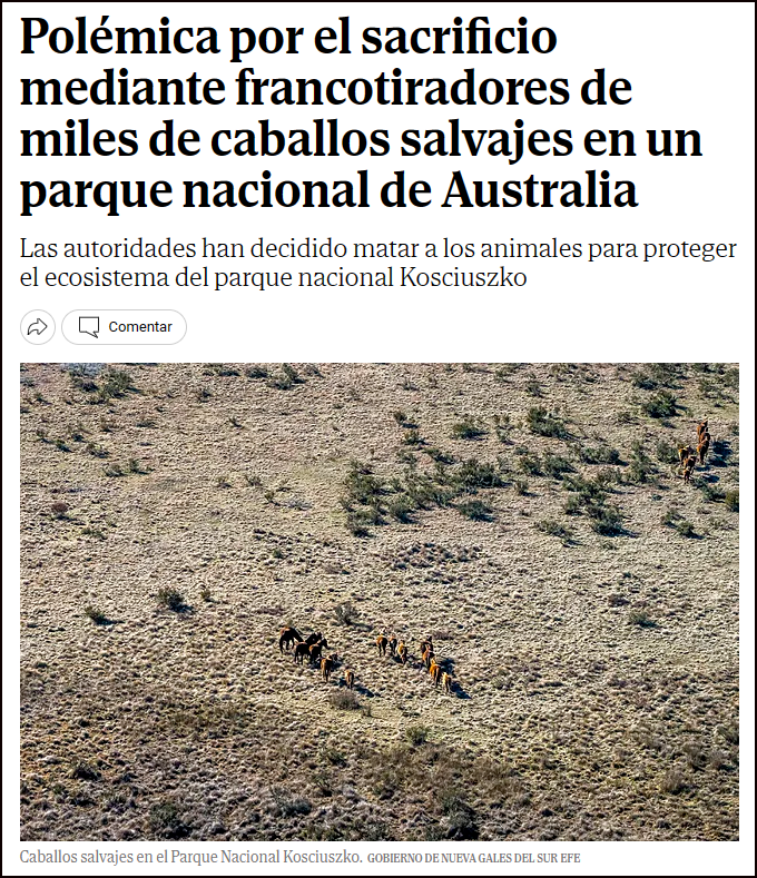  Australia sacrifica a miles de caballos con francotiradores para proteger el ecosistema