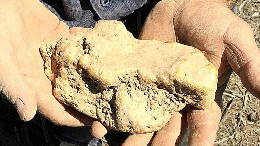 Un jubilado encuentra una roca con más de 2 kilos de oro en Australia