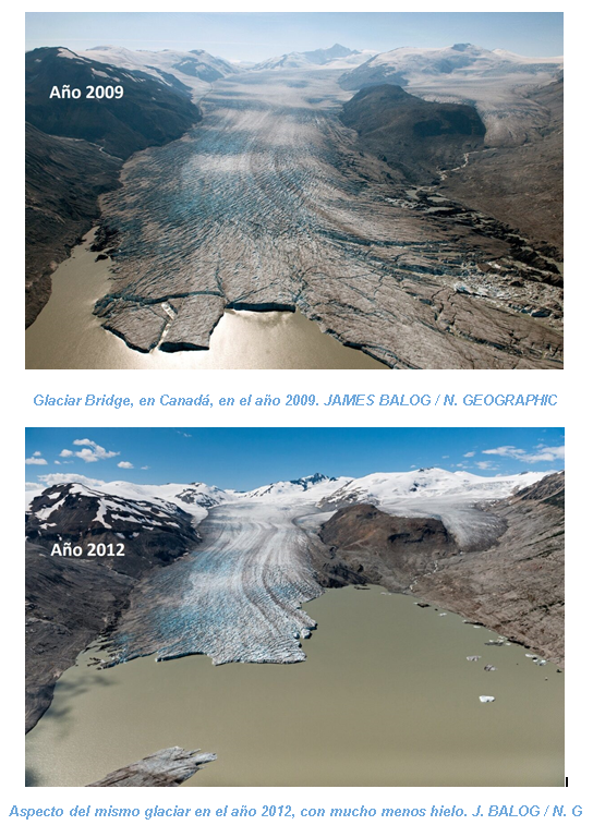  Seguimos sin hacer nada: Los glaciares se derriten y el nivel del mar sube
