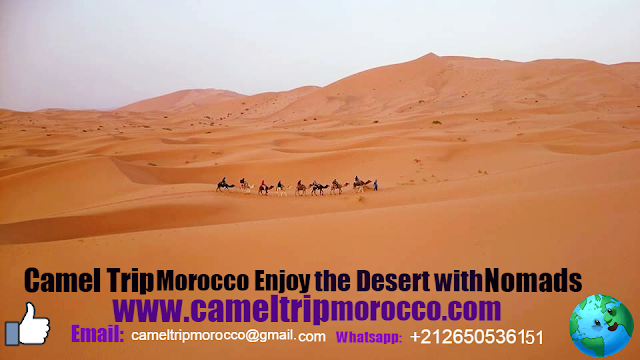 Private Tours and Excursions to Desert Morocco