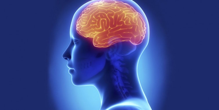 Las 9 sorprendentes maneras de manipular el cerebro humano ¡Impactante!