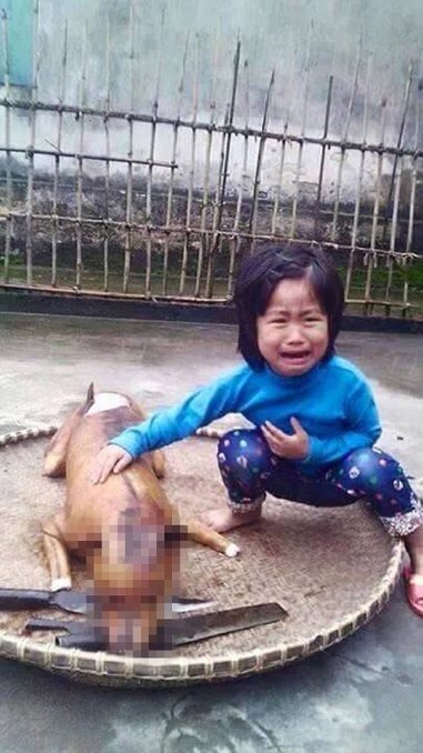 Horror: desconsolado llanto de una nena que encontró a su perro cocinado en un mercado