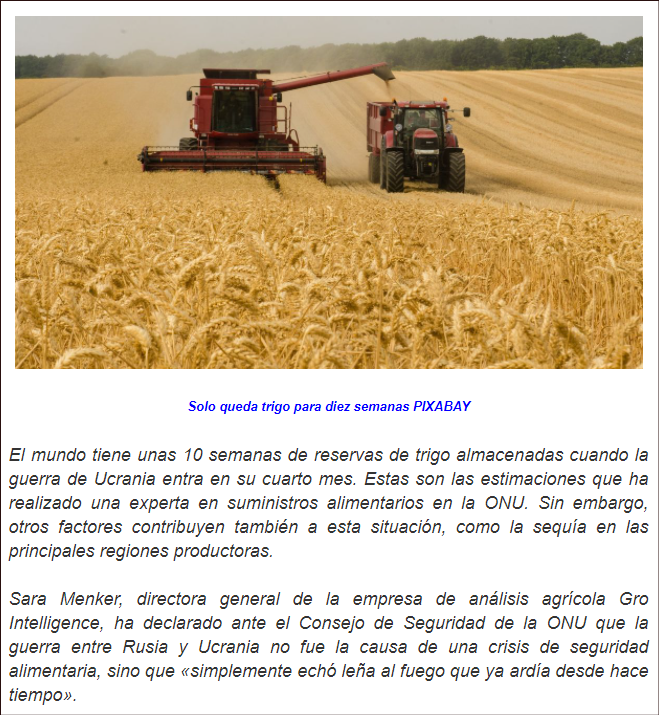 Alerta mundial: solo quedan reservas de trigo para diez semanas