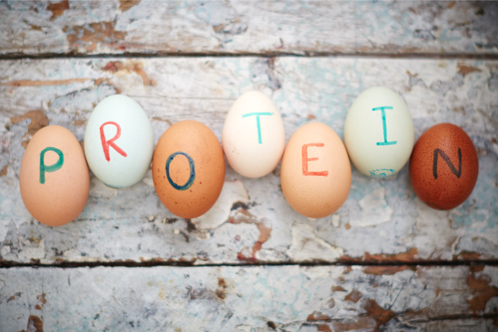 Is a high-protein diet the key to weight-loss?