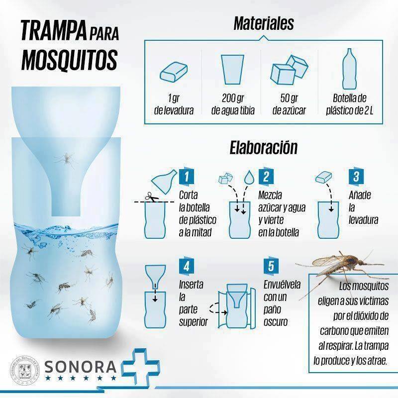 Trampa casera para mosquitos 