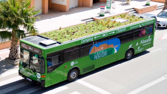 Estas ciudades estrenaron autobuses con techo vegetal