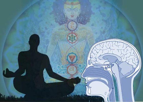Estudio de Harvard demuestra lo que le ocurre al cerebro en la meditación