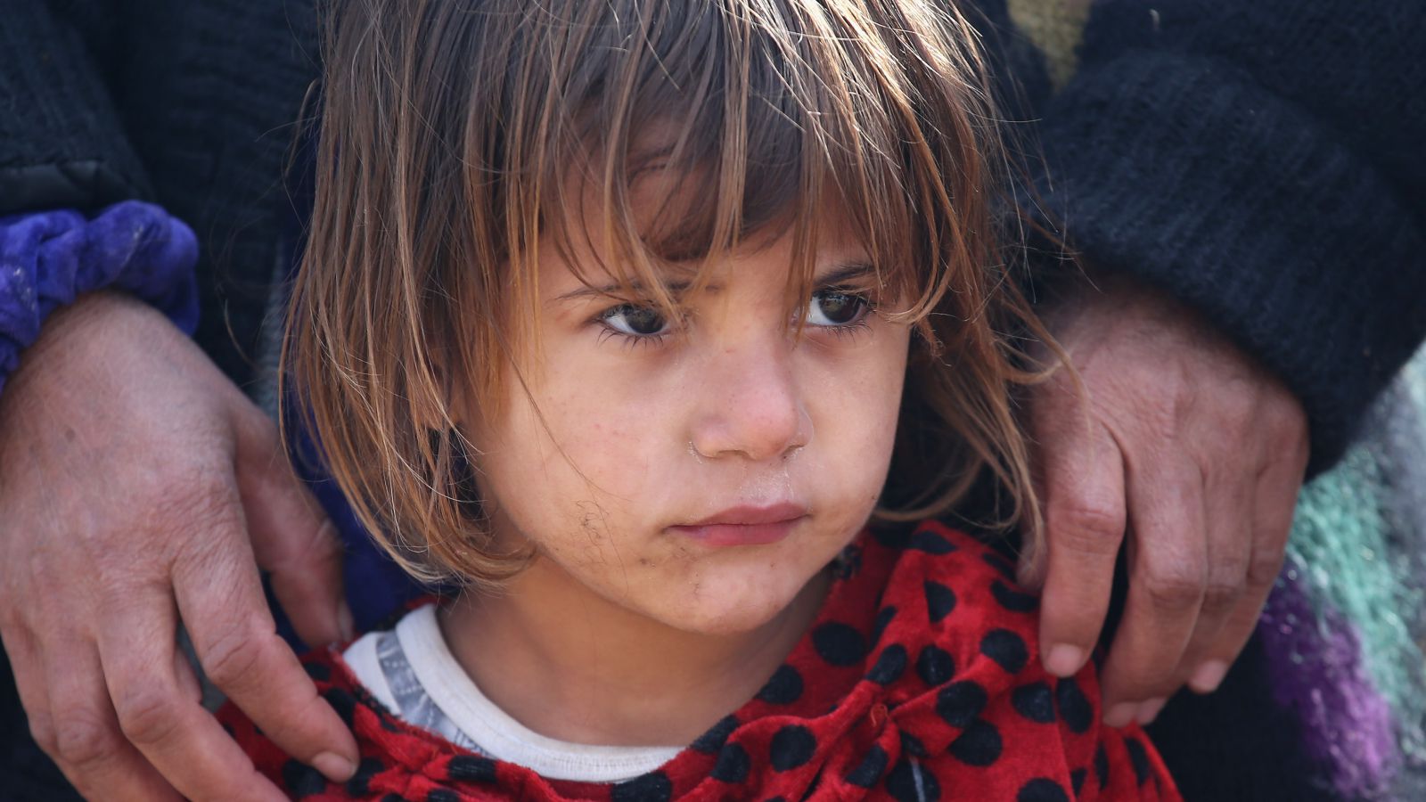 One chart explains why Syrian refugees aren't dangerous 
