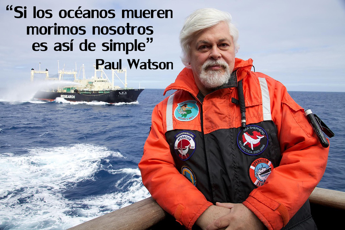 PAUL WATSON EL PIRATA BUENO, CONOCE AL CAZADOR DE CAZADORES