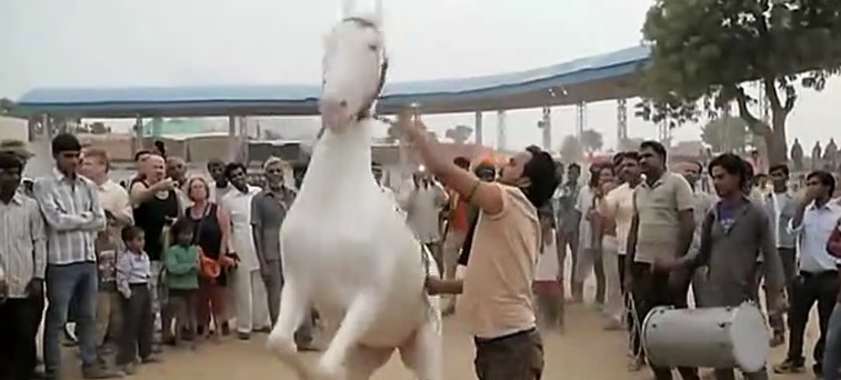 El caballo más bailarín del mundo