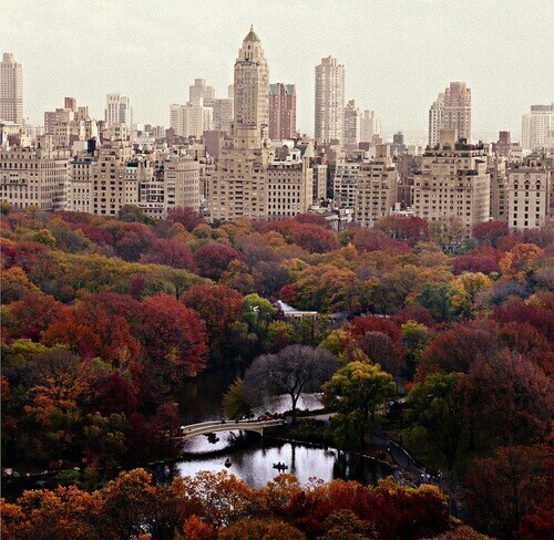 10 Curiosidades sobre central park de new york