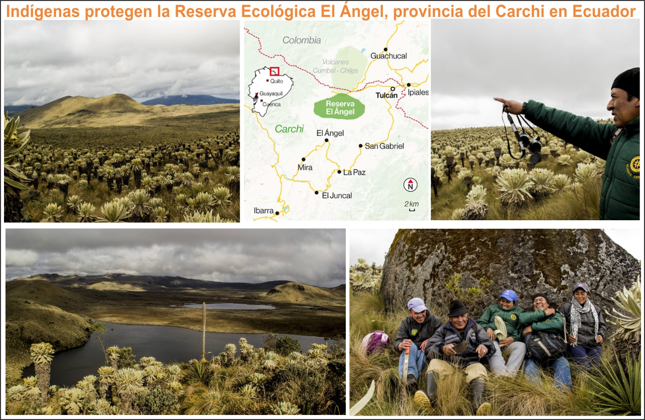 Indígenas en defensa de su páramo, Reserva Ecológica El Ángel, Carchi, Ecuador