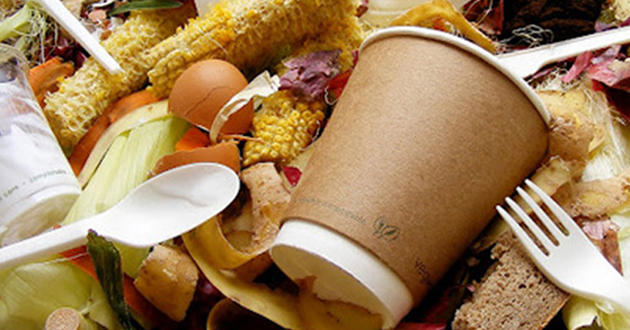 Un hombre hizo un experimento social para saber la cantidad de comida que se desperdicia