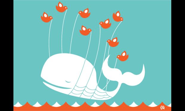 Twitter despidió a la ballena blanca el día de las elecciones en EE.UU.