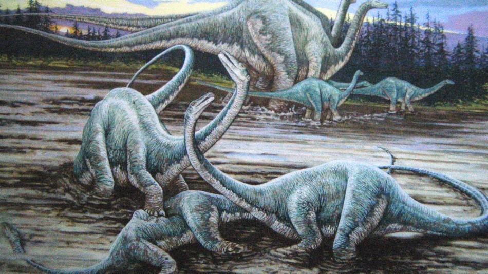 Here's why the largest dinosaurs to walk the Earth avoided the tropics
